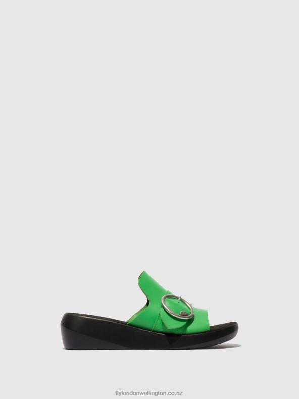 Women Fly London AVOCADO Buckle Mules BEYD925 0B6X4377